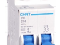 MCB CHINT NXB-125 2P (63,80,100A)  10kA  230V
