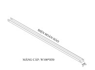 Máng cáp W100 H50